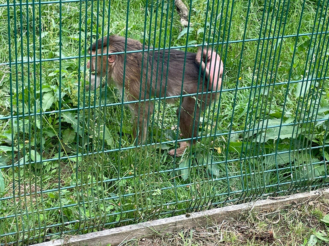 Wolds Wildlife Park-Horncastle必去景点