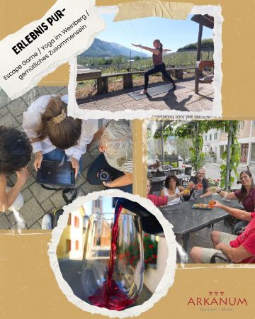 阿卡纳姆酒店-旅行者