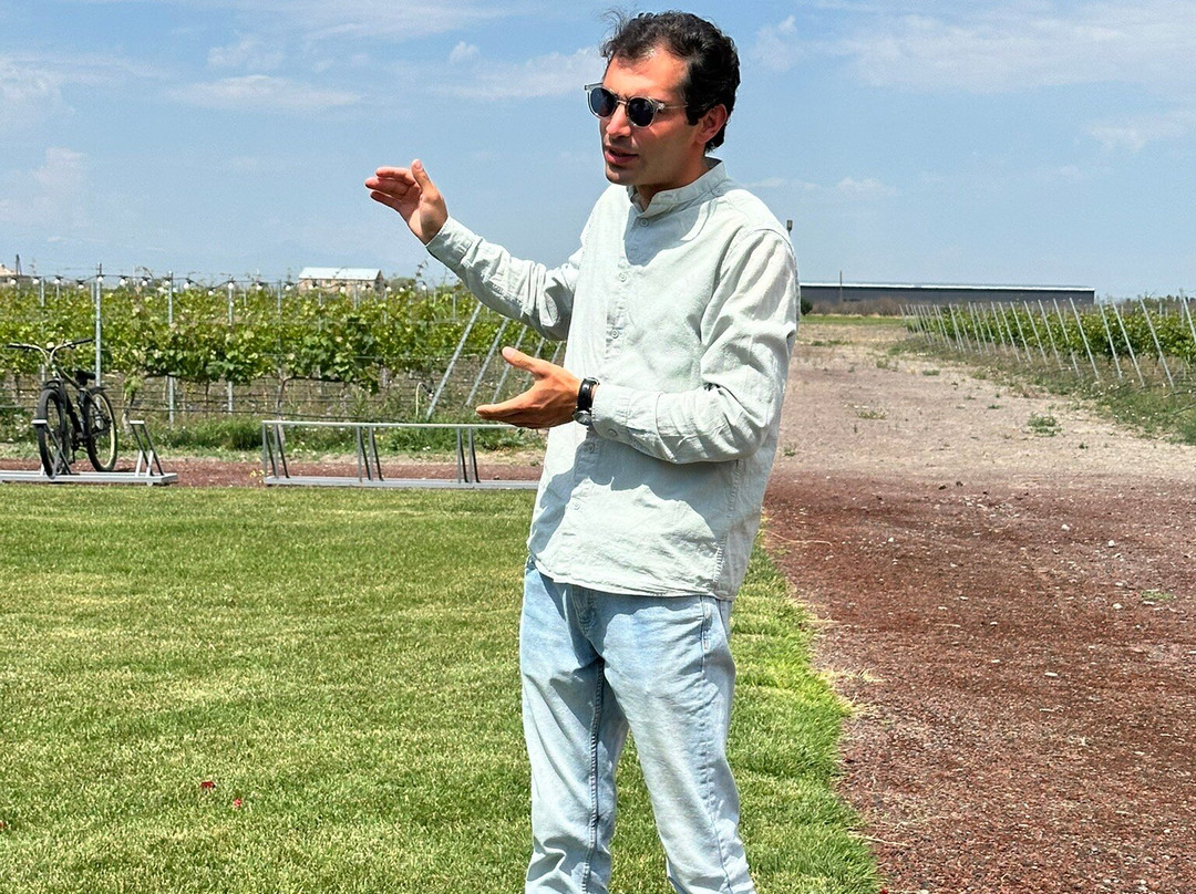 Aratashen Winery-Aratashen必去景点