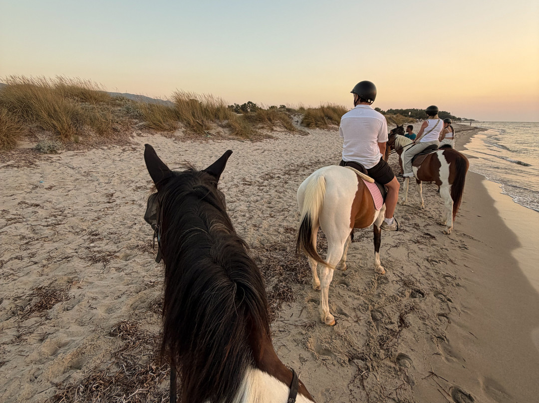 Erika's Horse Farm Kos-Marmari必去景点