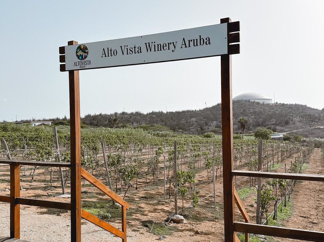 Alto Vista Winery-Noord必去景点