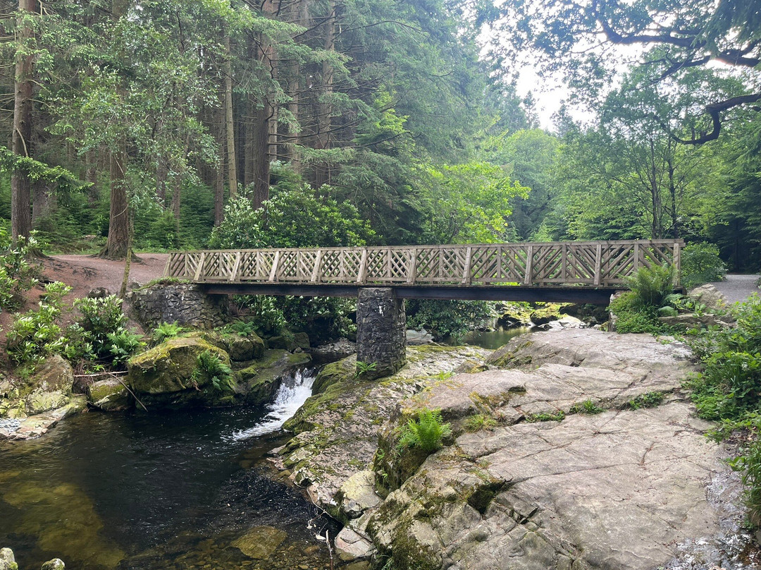 Tollymore Forest Park-纽卡斯尔必去景点