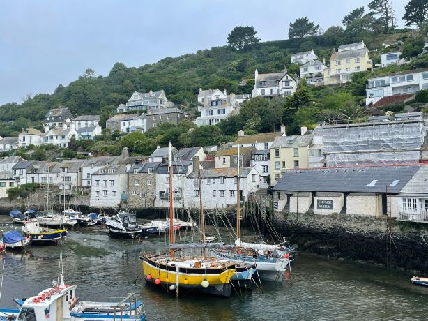 Penryn House Hotel-旅行者