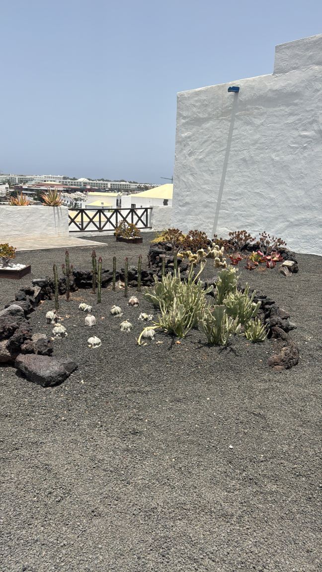兰萨罗特火山酒店-旅行者