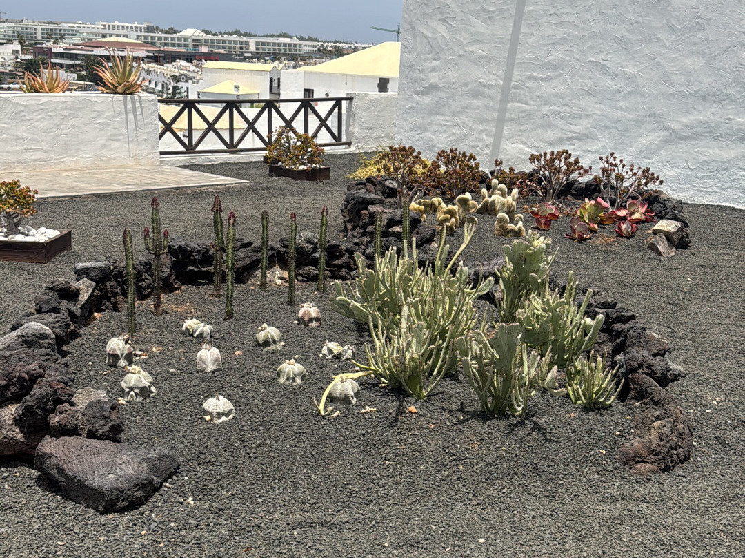 兰萨罗特火山酒店主图