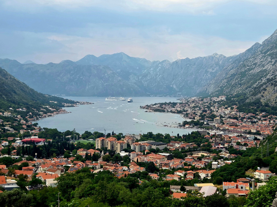 Tuk Tuk Montenegro-科托尔必去景点