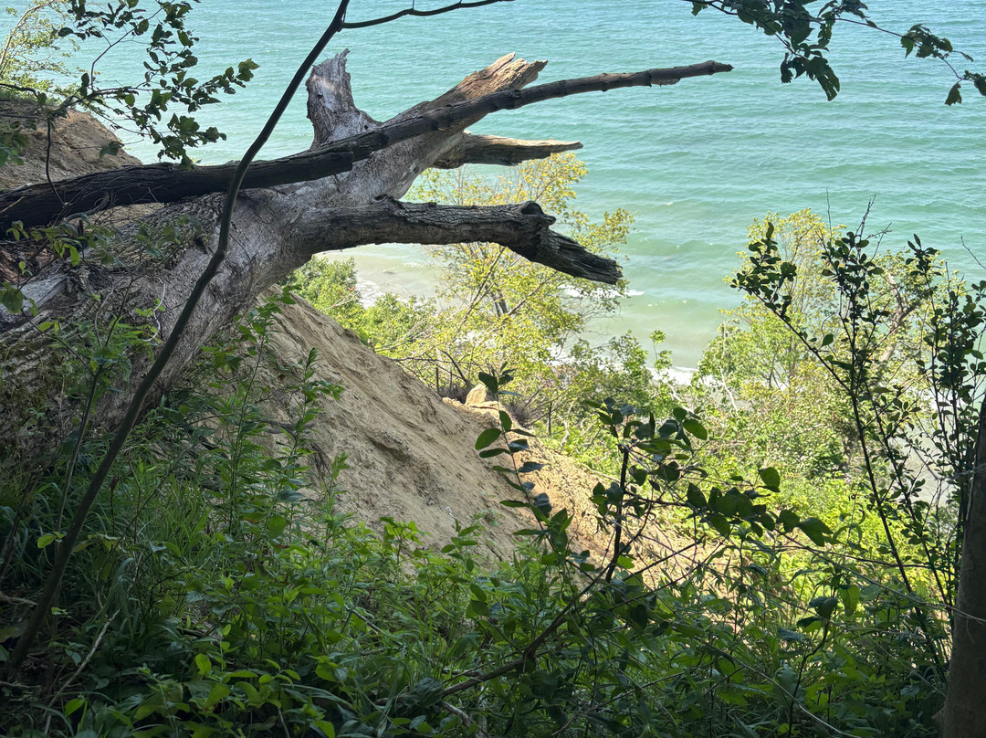 Erie Bluffs State Park-Lake City必去景点
