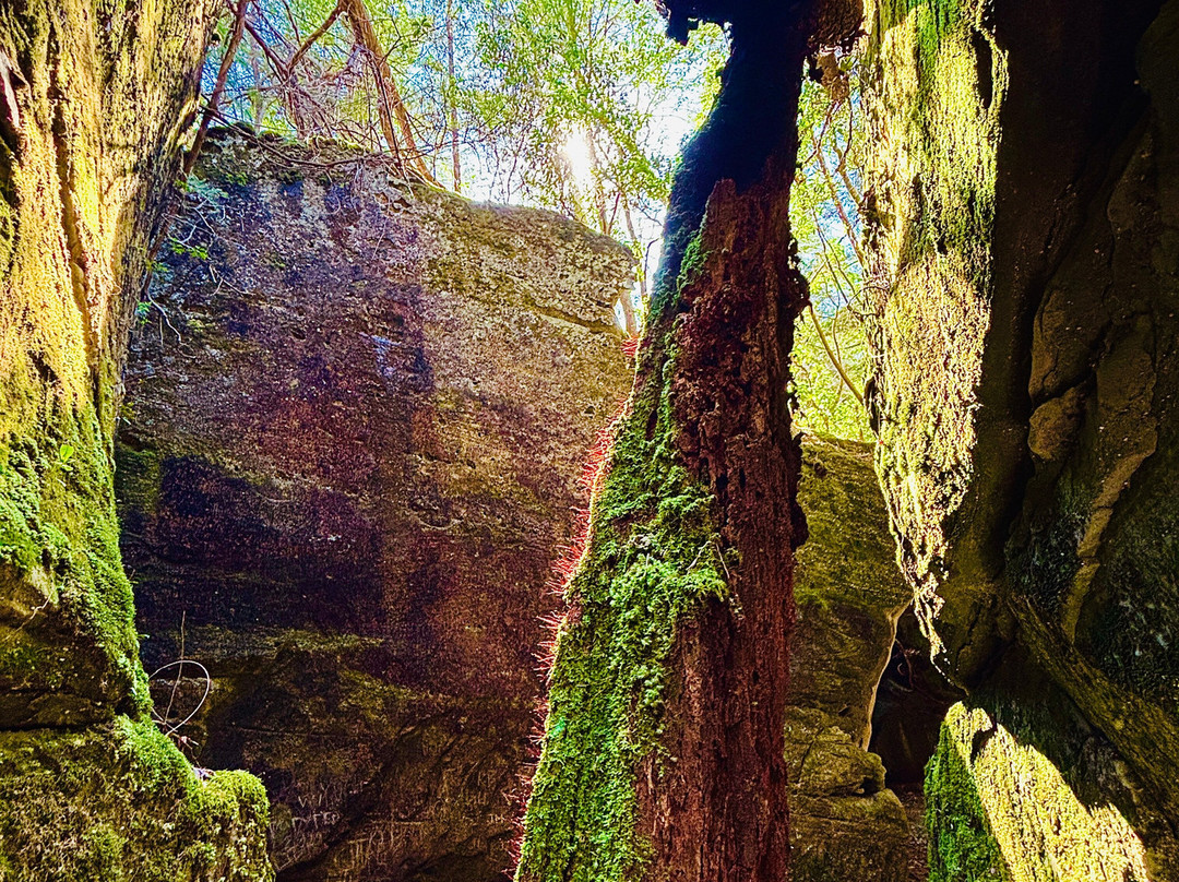 Dismals Canyon-Haleyville必去景点