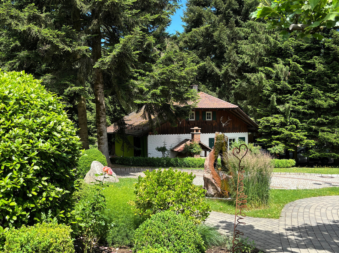 Waldhotel Grüner Baum主图