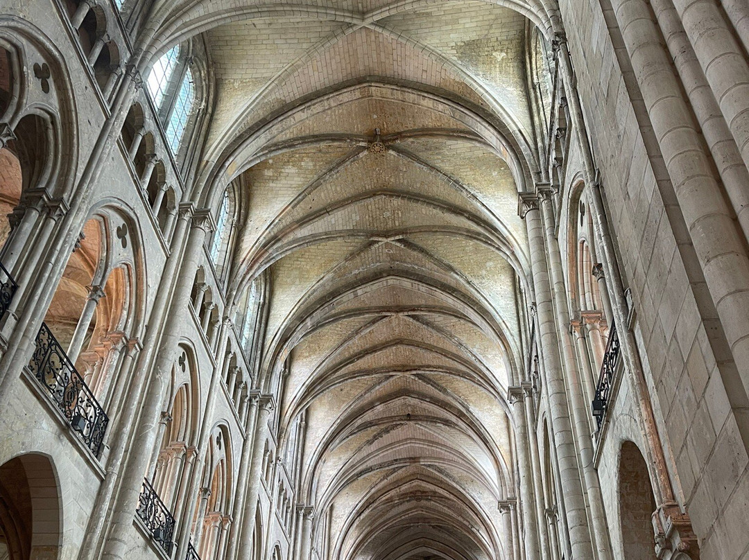 Noyon Cathedral and Library-Noyon必去景点