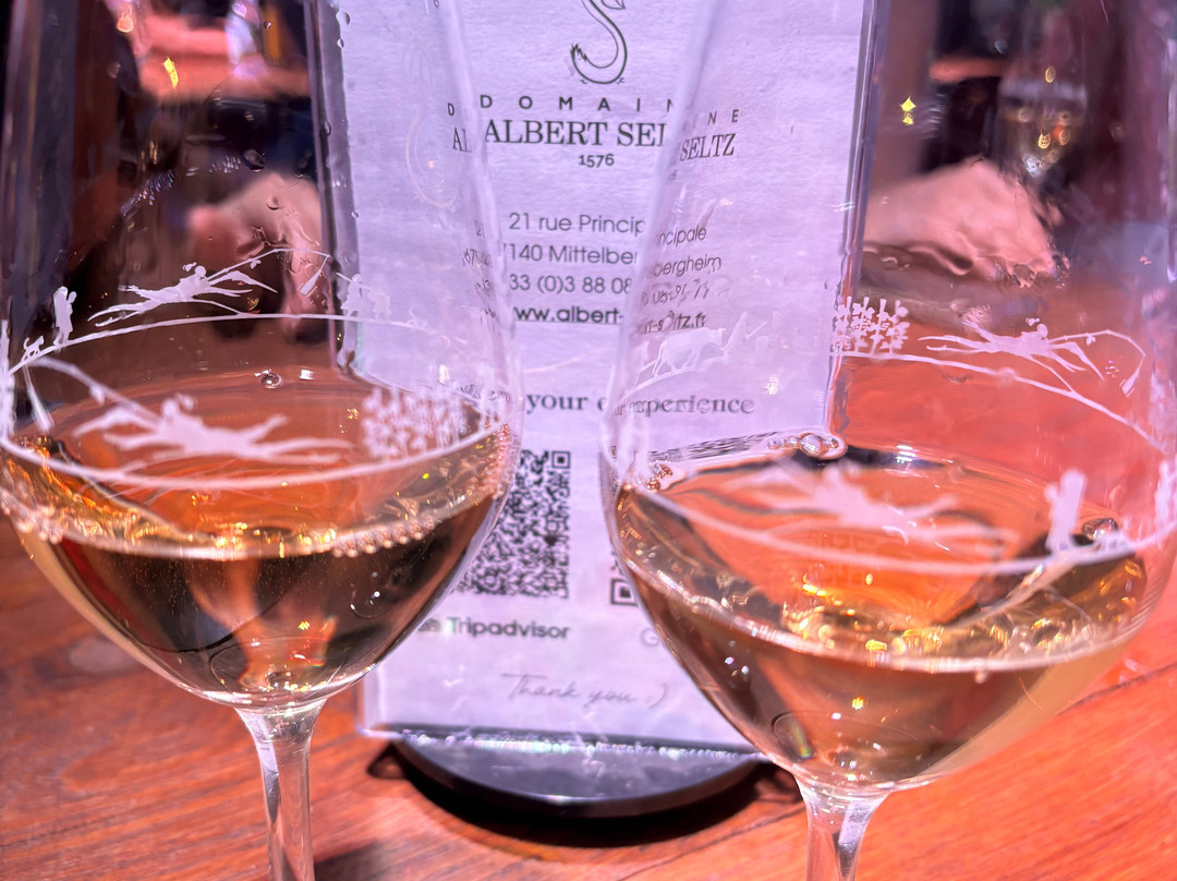 Domaine Albert Seltz-米特贝汉必去景点
