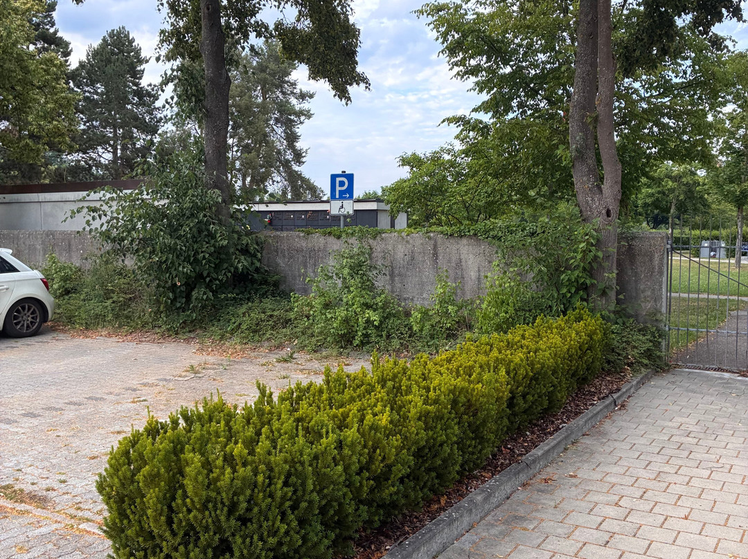 Friedhof Manching-Manching必去景点