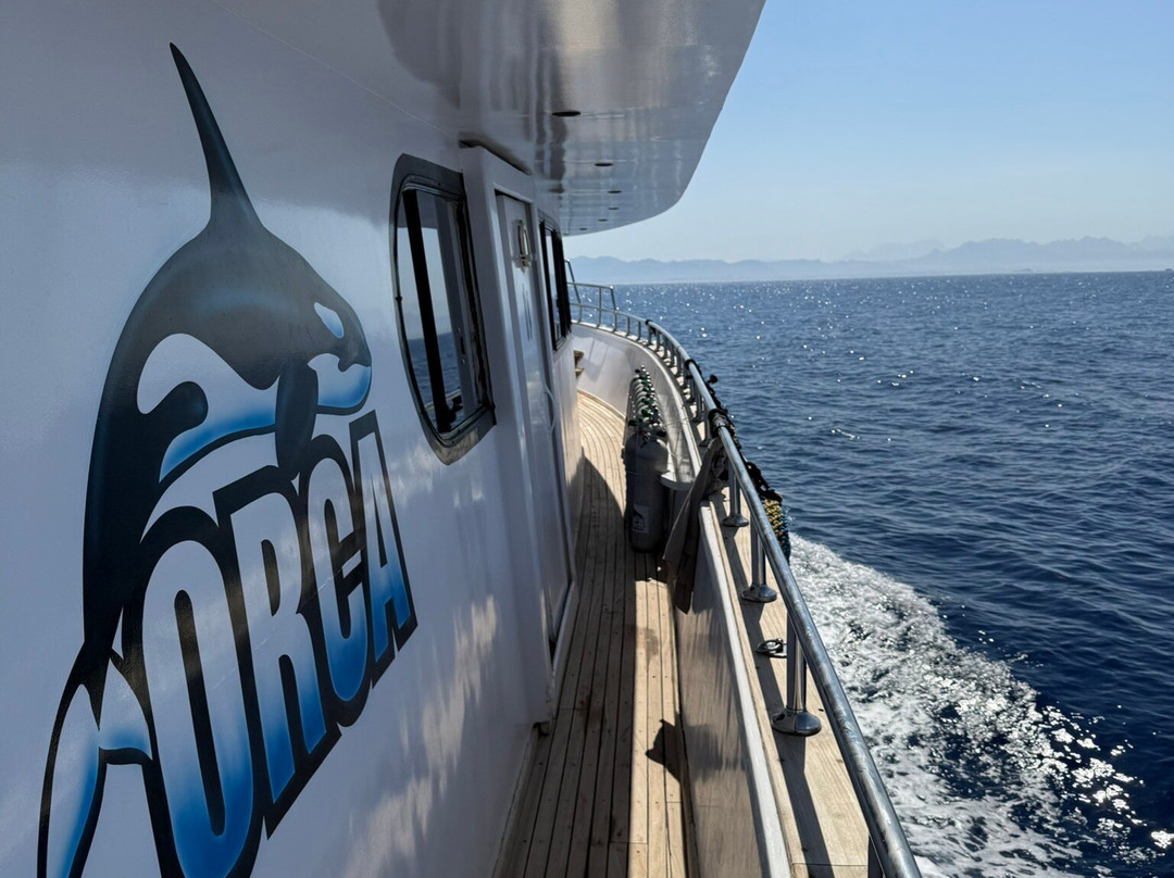 Orca Dive Club Safaga-Safaga必去景点