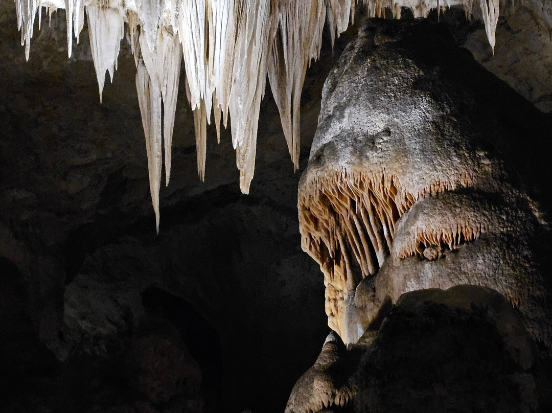 Carlsbad Caverns Natural Entrance Tour-卡尔斯巴德洞穴国家公园必去景点