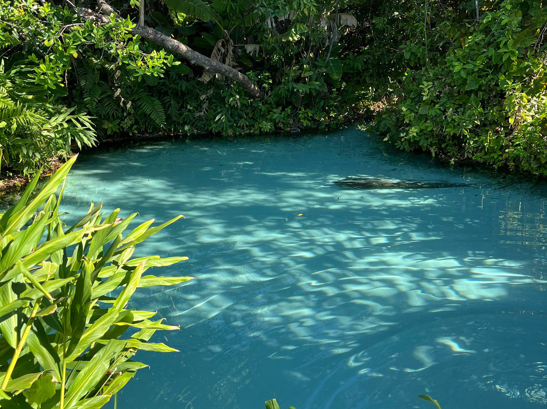 Cerrado Dourado Expedições-Jalapao State Park必去景点