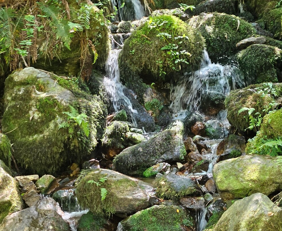 Fragas do Eume-Pontedeume必去景点