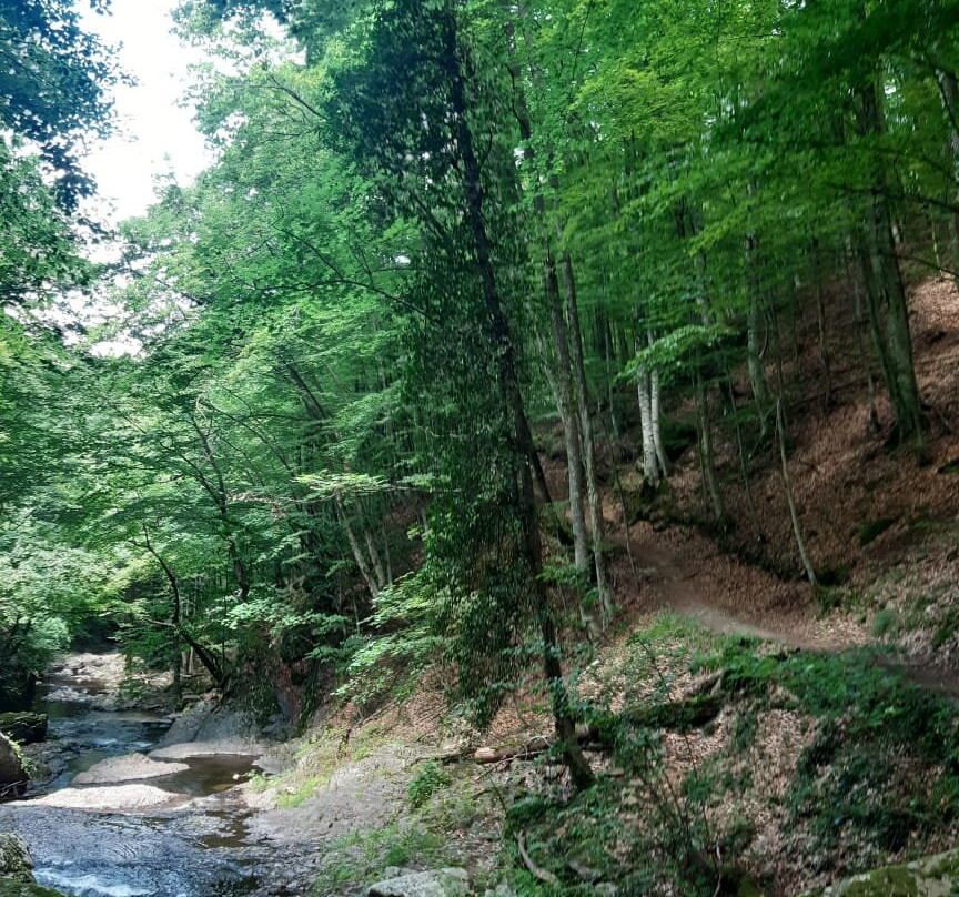 Livaditis Waterfall-Livaditis必去景点