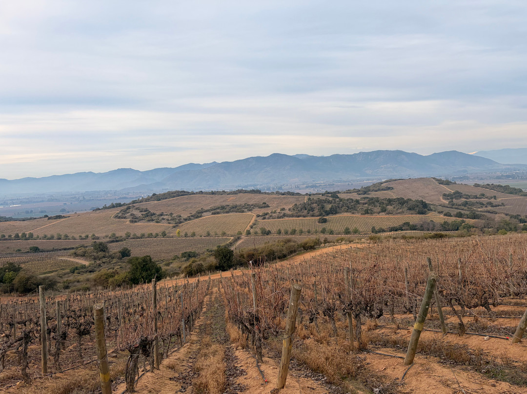 Natural Wine Tours-Palmilla必去景点