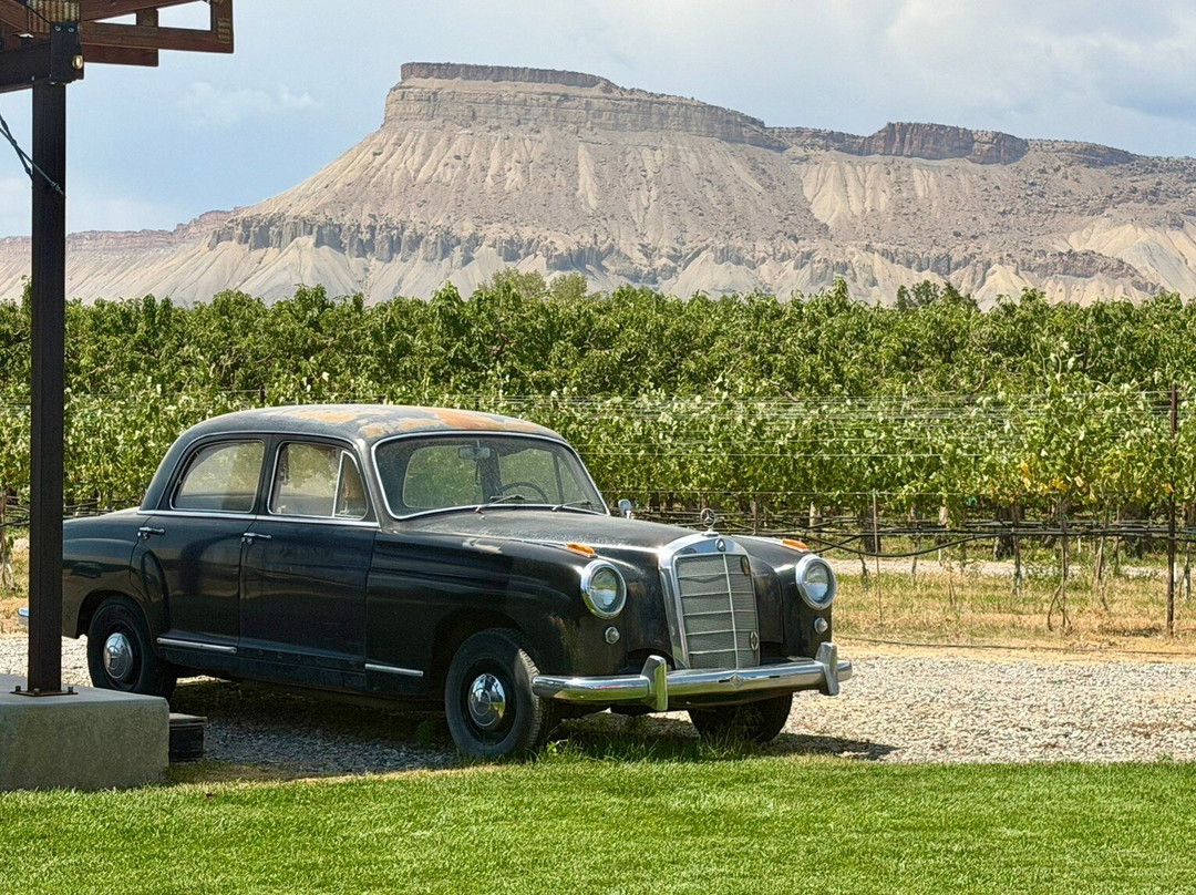 Restoration Vineyards-Palisade必去景点