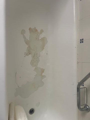 托雷诺帕拉西奥公寓酒店-旅行者