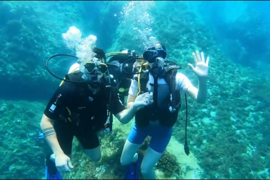 Diving Center Pongo-普莫斯特必去景点