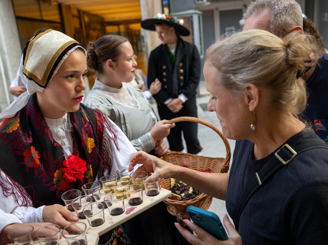 Traditional Slovenian Dinner & Show-卢布尔雅那必去景点