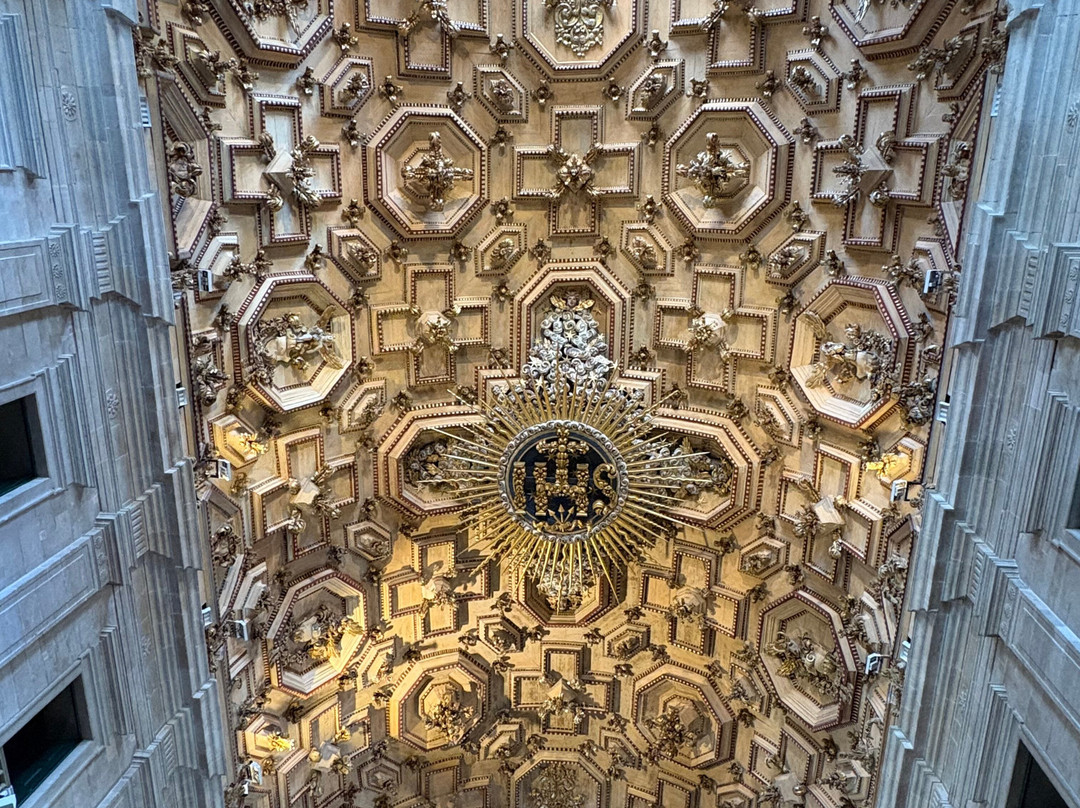 Cathedral Basilica of Salvador-萨尔瓦多必去景点