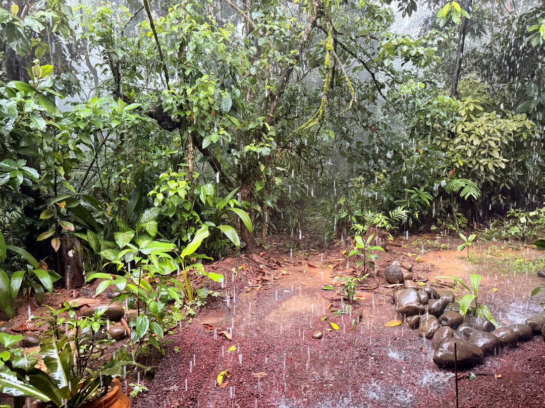 Tirimbina Biological Reserve-La Virgen必去景点