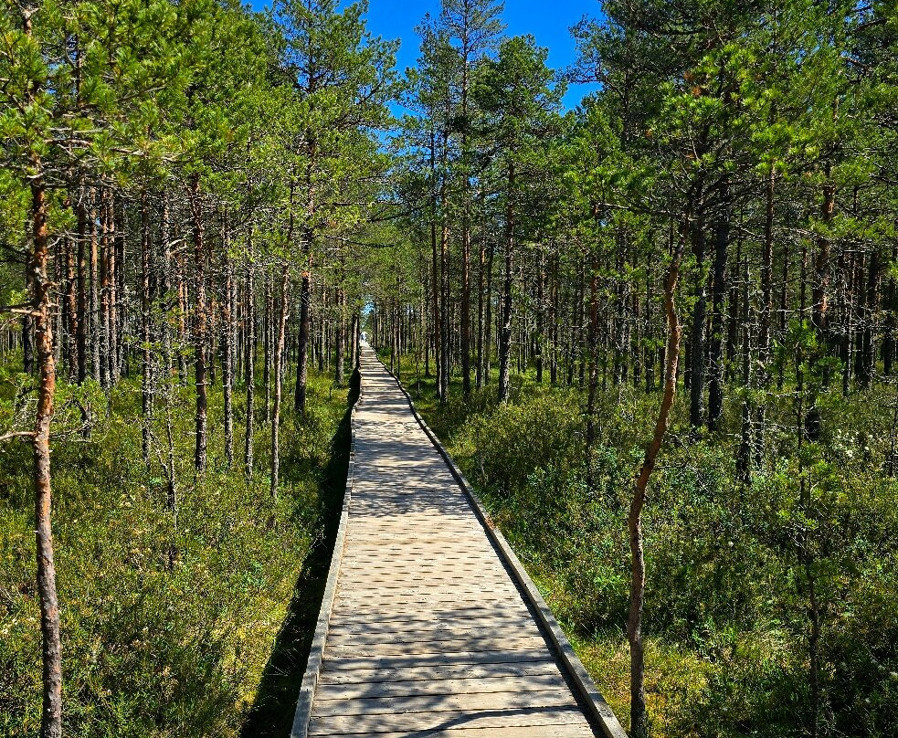 Viru Bog Trail-Kolga必去景点
