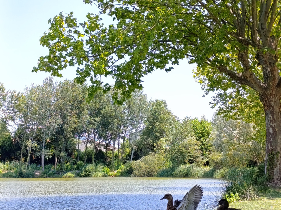 La Table du Lac