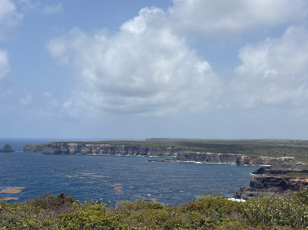 Pointe de la Grande Vigie-Anse-Bertrand必去景点