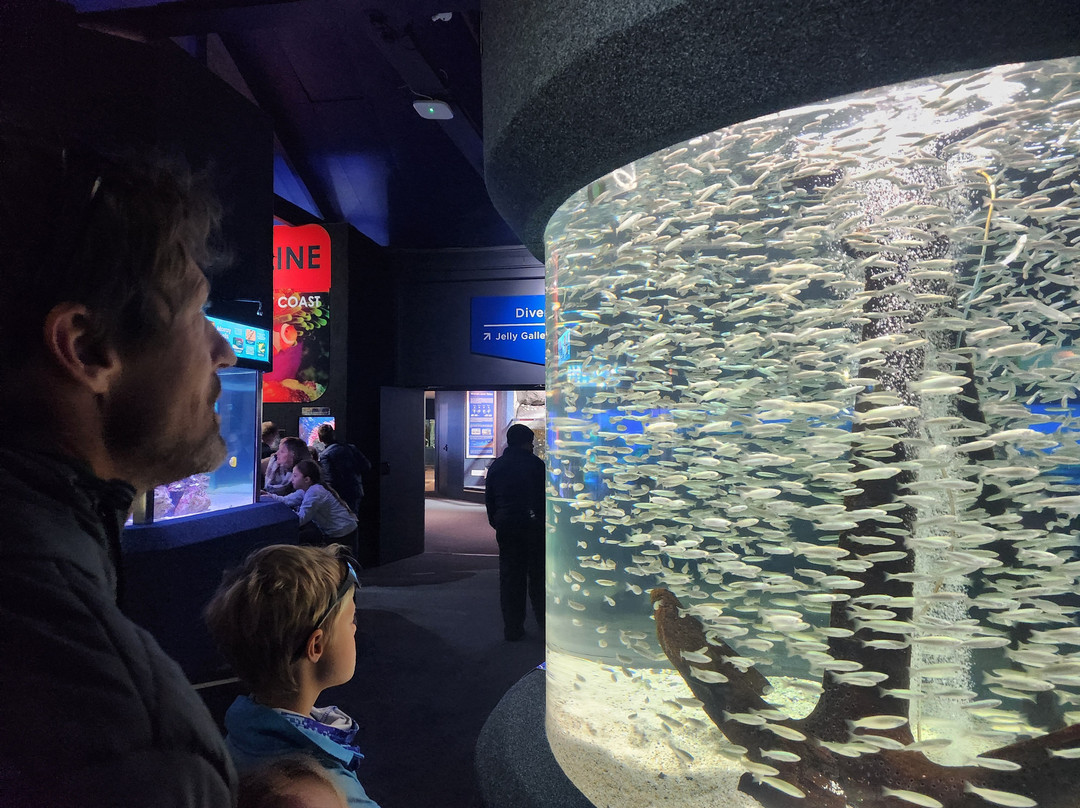Two Oceans Aquarium-开普敦中心区必去景点