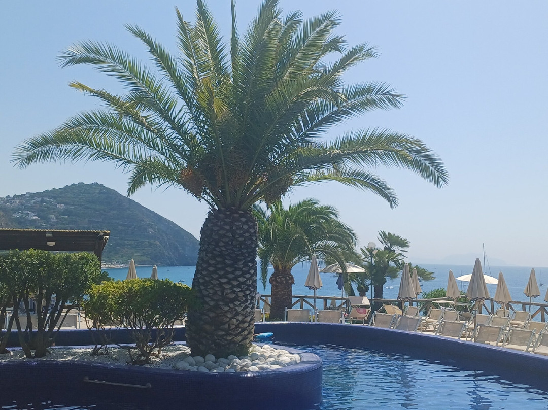 Thermal Park & Spa Aphrodite Apollon-Sant'Angelo必去景点