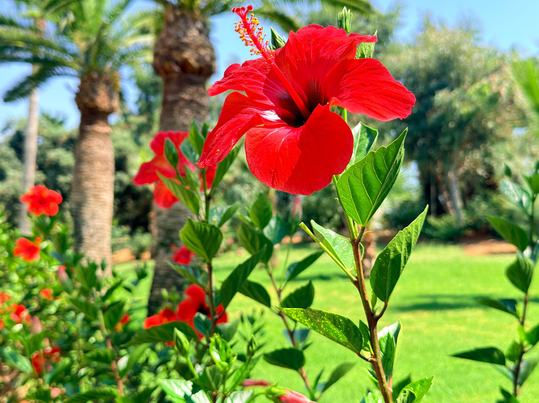 Iberostar Selection Creta Marine主图
