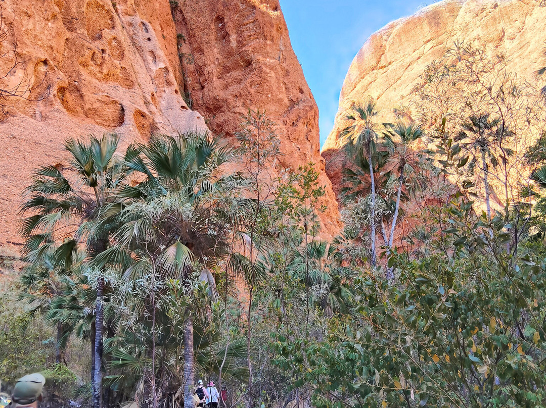 Echidna Chasm-Purnululu National Park必去景点