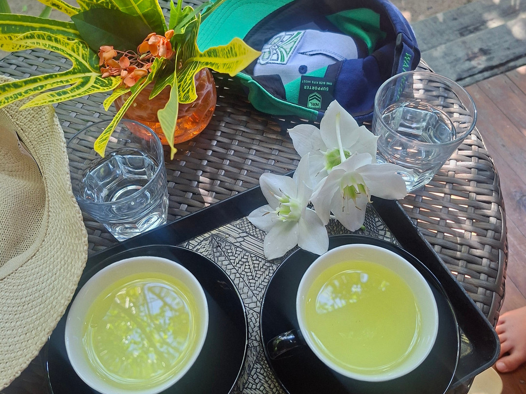 Sigatoka Spa-辛加东卡必去景点