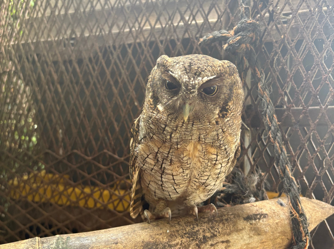 Jungla de Panama Wildlife Refuge-波魁特必去景点