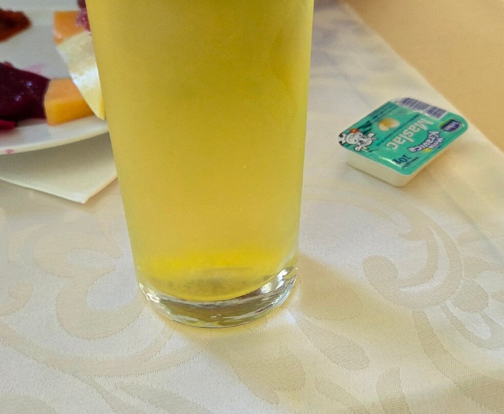 帕拉斯酒店主图