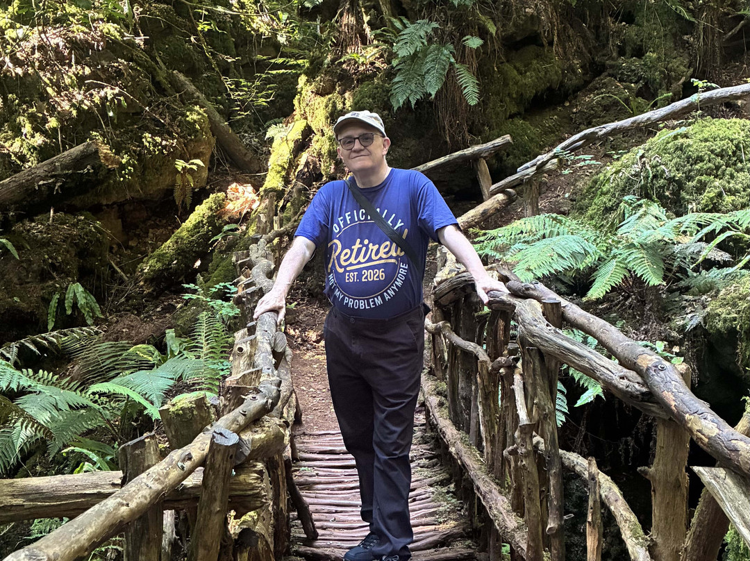 Puzzlewood-Coleford必去景点