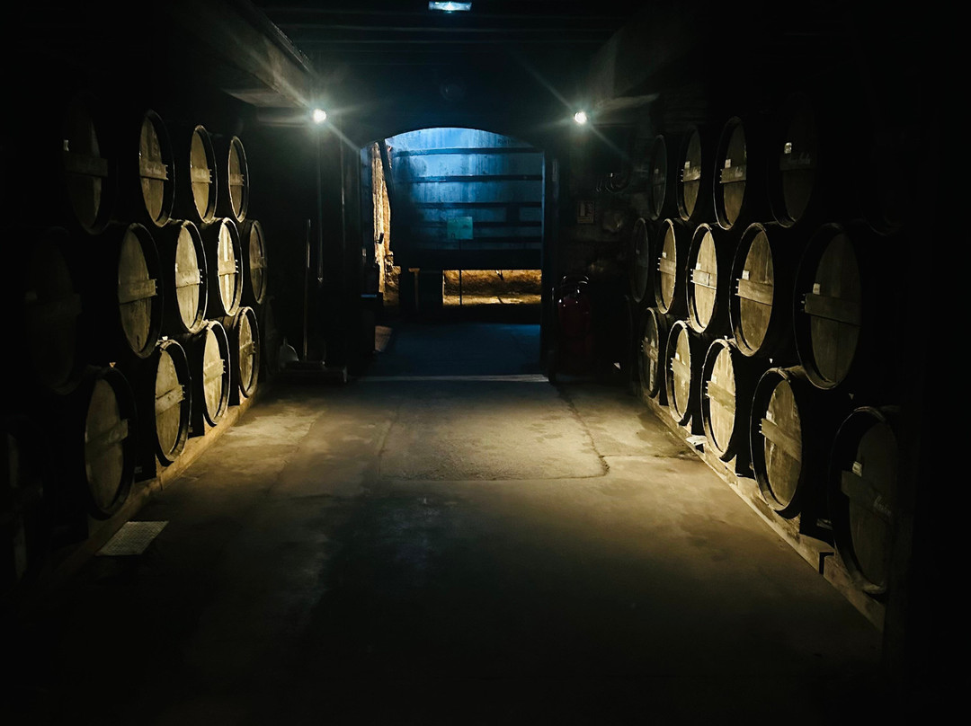 Rémy Martin-干邑必去景点
