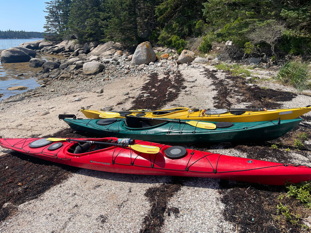 Osprey's Echo Sea Kayaking-Stonington必去景点