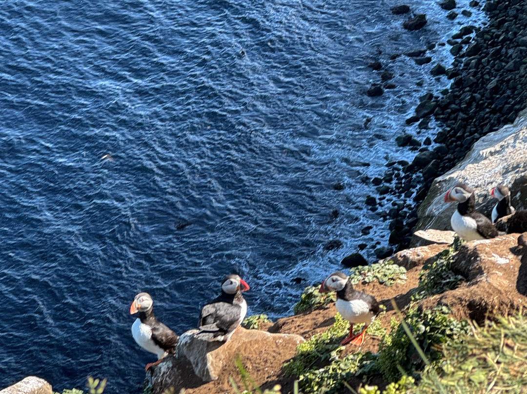 Orbis et Globus-Grimsey Island必去景点