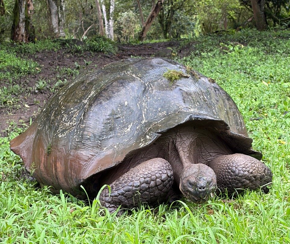 Smart Galapagos-阿约拉港必去景点