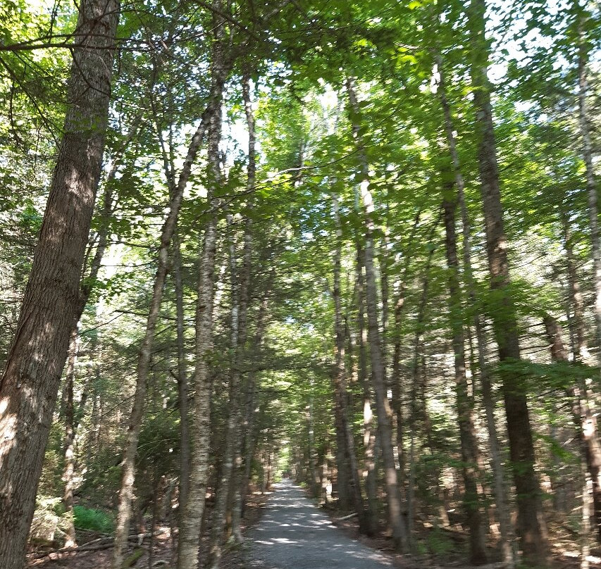 Kaaterskill Falls-Haines Falls必去景点