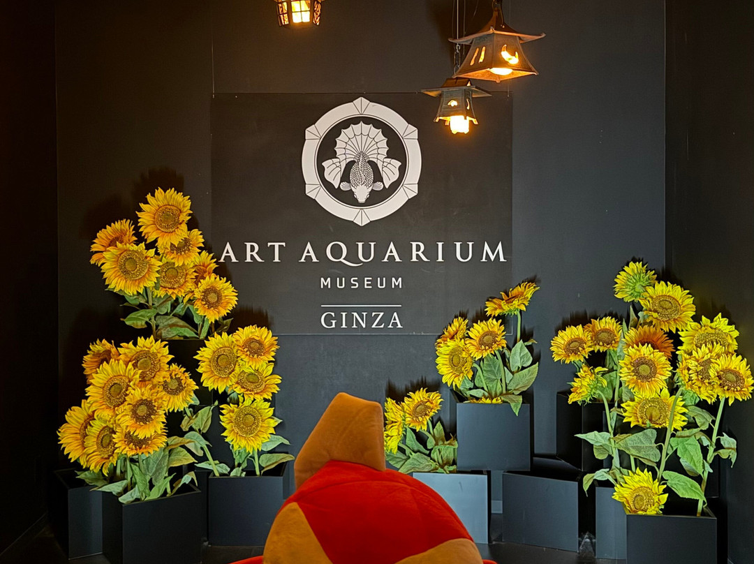 Art Aquarium-Ginza必去景点