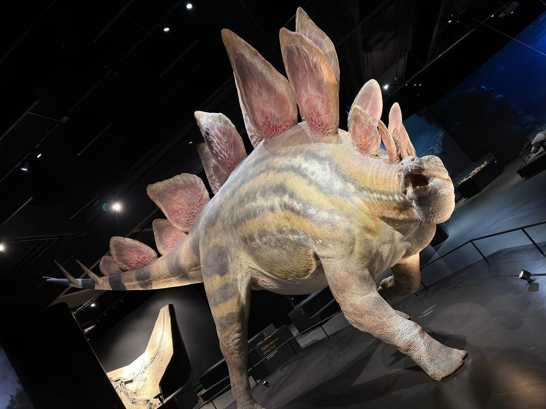 Dinosauria Museum Prague-Tuchomerice必去景点