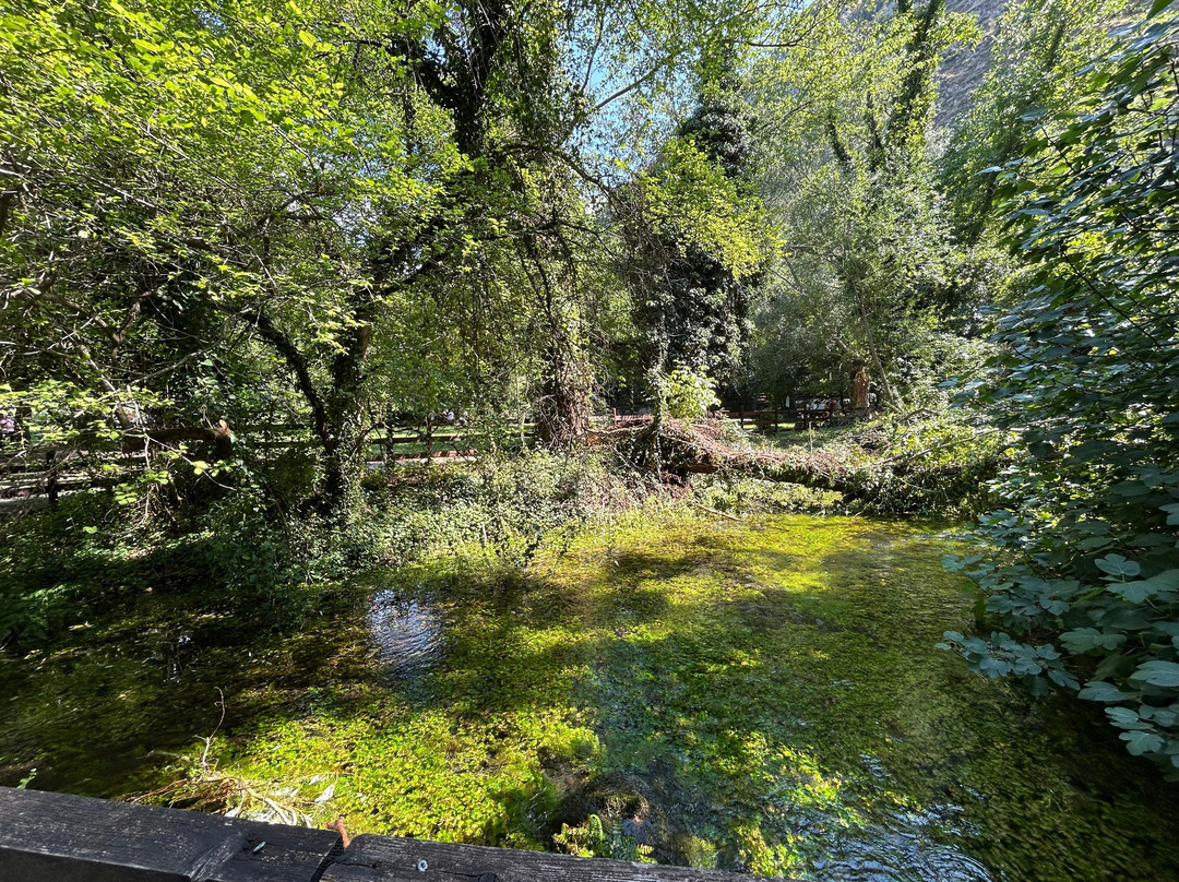 Riserva Naturale Gole del Sagittario-Anversa degli Abruzzi必去景点