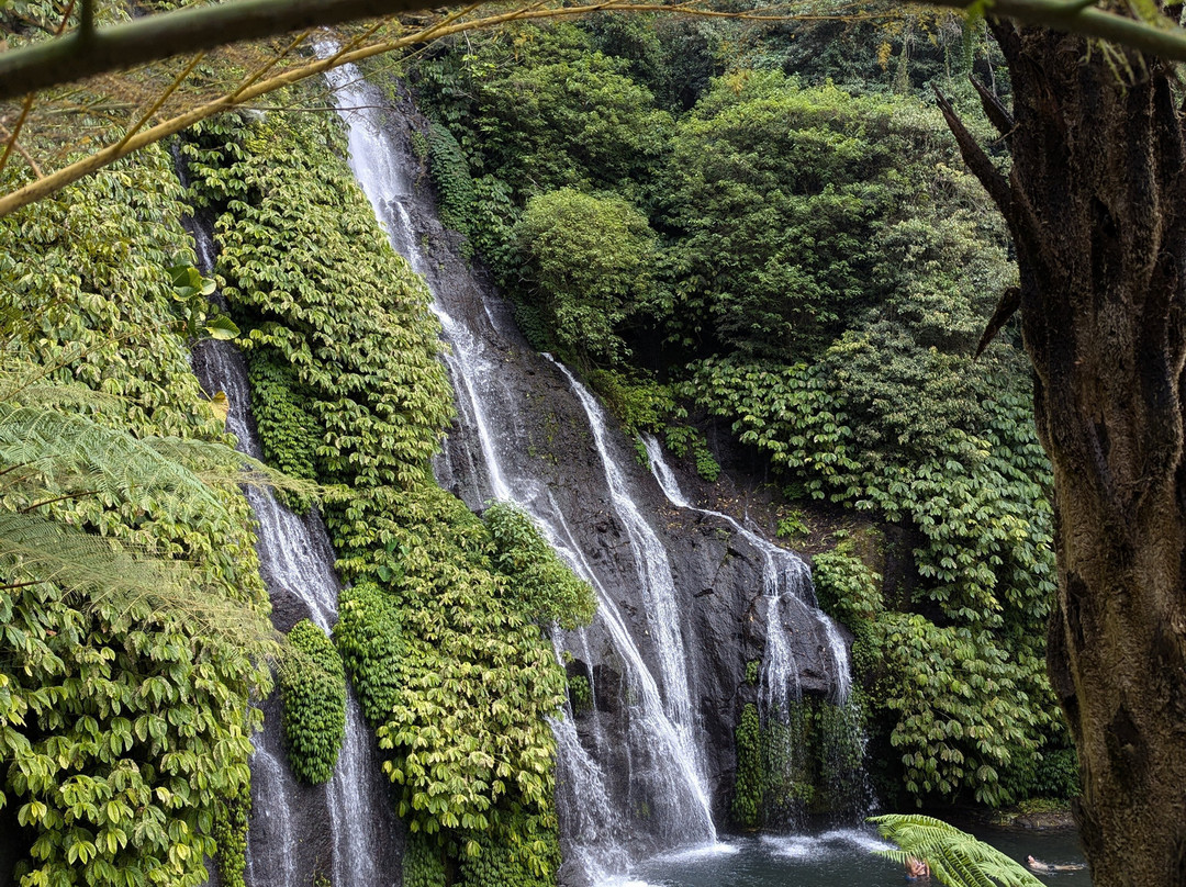 Bali Life Tours-乌布必去景点
