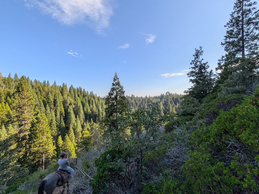 Yosemite Trails Horseback Adventures-菲什营必去景点