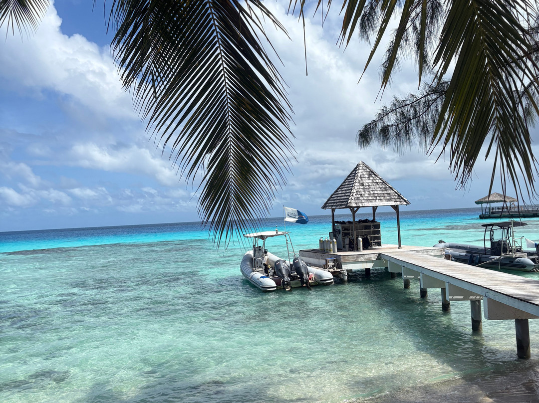 TOPDIVE Rangiroa-阿瓦托鲁必去景点